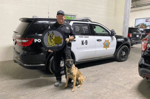 K-9 Trials – A Winning Show of Law & Paws Enforcement