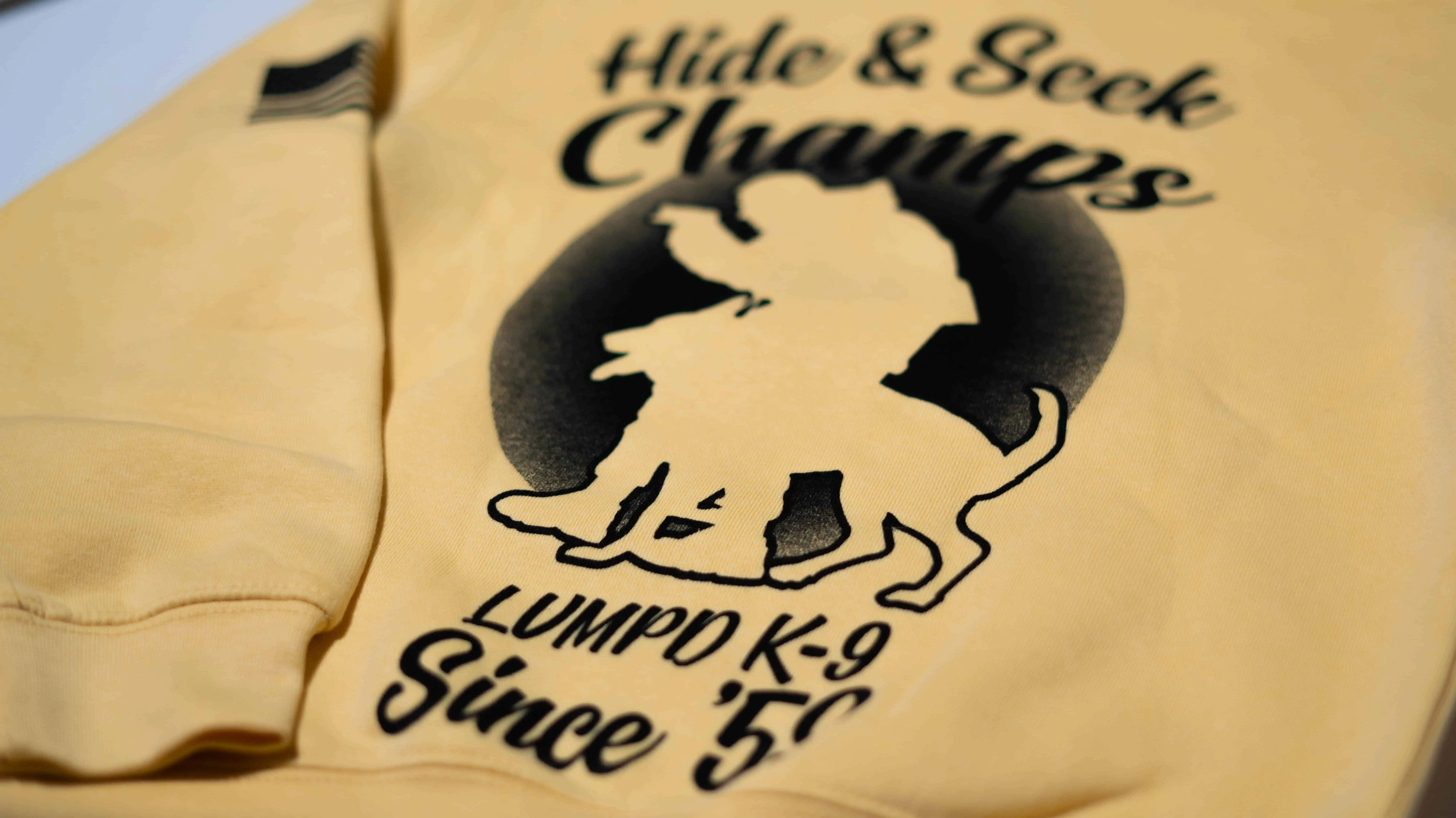 K-9 Hide & Seek Champs Hoodie - Image 12