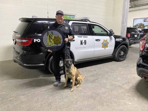 2024 LVMPD K-9 Trials